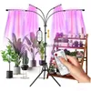 Luci di coltivazione LED 4 teste piante interne FL Spectrum FL LIGHT TRIPIOD REGOLABILE STAND PIERO 4/8/12H Timer con caduta di controllo Remoto consegna DHFH1