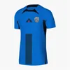 2024 Slovenien Soccer Jersey dygnet