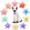 Dog Apparel Flower Pet Cat Collar Accessoreis com Pearl Dot Solid Colorful Colorful Bulk Slidable Puppy Charms para pequenos suprimentos