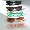 Lunettes de soleil Fashion Cat Eye for Men Femmes Couleurs de bonbons Small Frame Glasse de soleil Classic Triangle Eyeglass Outdoor UV400
