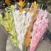 Dekorative Blumen 5pcs erhalten orangefarbenes Blatt natürliche Lilieblätter getrockneter Bouquet Boho Home Garten Dekor Weihnachtsfeier Dekoration