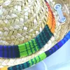 Кошачьи перевозчики Pet Woven Strail Hat West Mexican Style Spring и летние солнцезащиты регулируют