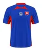 Słowakia Hancko piłka nożna koszulka 2024 2025 Słowacka drużyna narodowa KIT KIT SLOVENSKA HOME Away Lobotka Football Shirts Mężczyźni