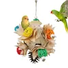 Other Bird Supplies Parrot Chewing Toy Anti Biting Cage Foraging Fun Decorative Birdcage Ornaments Pet Accessories