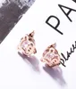 Stud Fashion Jewelry Accessories Cartoon Pig Set Zircon Titanium Steel Earrings Rose Gold Allergy Earrings Whole3352697