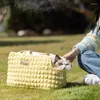 Cat Carriers 2024 Style Pet Carrier For Cats Dog Waffler Kitten Puppy Bag Travel Leverancier Accessoires