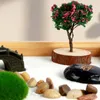 TEA TRAYS ZEN GARDEN SAND TRAY TROY TABLEBEDOP MINI JAPANSKT STIL Heminredning innehåller 3 påsar för skrivbordskontor