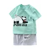 Sommerkind Kleinkind Kurzärmel Shorts Set Baby Girls Jungen Baumwoll Cartoon Pullover T-Shirtshorts zweiteiliger Anzug 0-6y 240511