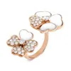 Famosi anelli di designer per amanti che vendono hot New Heart Ring Womens Fashion Light Luxury Rings con comune Vanley