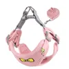 Colliers de chien Leash Vest-Type Petit que l'ours STRAPE DE CHOSE BESOINT PUPDY PUPPY DE ROPE DE ROPE CHAPE DE CORDE