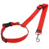 Colliers de chien 1pc fournitures pour animaux