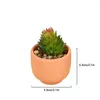 Decorative Flowers 1pc Mini Fake Succulent Bonsai Home Decor With Pots Desktop Ornaments Artificial Plant Garden Christmas