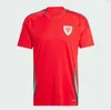2024 25 Maillots de football de Pays de Galles Bale Wilson Allen Ramsey World National Team Cup Rodon Vokes Home Football Shirt Short Sleeve Adult Uniforms Fans Player Player Version