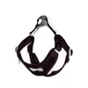 Colliers de chien Leash Vest-Type Petit que l'ours STRAPE DE CHOSE BESOINT PUPDY PUPPY DE ROPE DE ROPE CHAPE DE CORDE