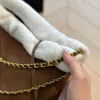 Fashion Bag Fleece Tote Designer Versatile Bag Berber Women's Shoulder Chian Garbage Handbag Shoulder Crossbody 230915 Suede Bag PRJCJ