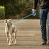 犬の首輪反射的なネクタイアウトキャンプリーシュパークガーデンヤードトレーニングアウトドア