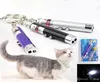 NEU 2 IN1 Red Laser Pointer Stiftschlüsselring mit weißer LED -Leuchtdose tragbarer Infrarotstock lustige Tease -Katzen Haustierspielzeug mit Einzelhandel P5027283