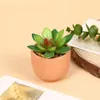 Dekorativa blommor 1 st mini falska saftiga bonsai heminredning med krukor skrivbords ornament Artificial Plant Garden Christmas