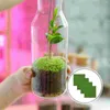 Dywany 4PCS Wróżki podobne do życia sztuczne rośliny miniaturowe ozdoby mini house rzemieślnicze 15 x 15 cm (zielone)
