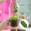 Carpets 4pcs Life-like Fairy Artificial Plants Miniature Ornament Garden Mini House Craft Pot 15 X 15CM (Green)