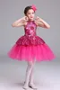 Tutu Ballet Dress for Girls Gymnastics Leotard Kids Ballet Dance Clothes Children Ballerina Costume Ballet Tutus Dancing Dresses 240510