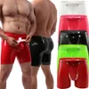 Mens Sexy Lingerie Crotch aberto calças curtas Cainha de látex bainha casual boxer de couro macho de couro esticado de traje de gato de protuberância
