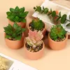 Decorative Flowers 1pc Mini Fake Succulent Bonsai Home Decor With Pots Desktop Ornaments Artificial Plant Garden Christmas