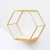 Decorative Plates Wall Mounted Hexagon Shelves Metal Framed Gold Storage Holder Rack With Wooden Floor Living Room Home Party Decor