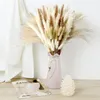 Dekorative Blumen natürliche getrocknete Pampas Grasdekor 80pcs Boho Home Style Small for Flower Wedding Party Arrangements Bauernhaus