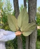 1 % сушеный цветок натуральный лист вентилятора PU для DIY Home Shop Display Material Materials Severved Leving Palm Tree для свадебного декора 16732321