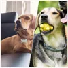 Hundekragen 6 PCs Haustier -Tag -Knochen -Tags für Haustiere Telefonnummern -ID -Hänge Personalisierter Charme