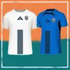 2024 Slovenien Soccer Jersey dygnet