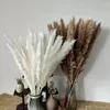 Decorative Flowers Natural Dried Flower Wedding Pampas Grass Decor Decoration Home Pampa 45cm Reed Tail For Party Decorat