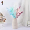 Dekorative Blumen 5pcs erhalten orangefarbenes Blatt natürliche Lilieblätter getrockneter Bouquet Boho Home Garten Dekor Weihnachtsfeier Dekoration