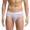 Underpants Men Briefs Jacquard Stretchy Male Ice Silk See Through Panties Comfortable Underwear Sheer Transparent Mesh Soft Exotic For Home