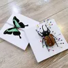 Decorative Figurines Board Specimen Display Spreading Pinning Kit Box Experiment Tool Case Experimental Mounting Insect Making Bug Panel