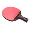 HUIESON VENDEUR NANO 98 CARBON Table Tennis Racket Wood Powder Composite Technology Ping Pong Pagdle with Case 240422