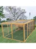 CATTORI CATTORE PIGEONO OUTDOOR CAGLIO CAGGIO COP COOP POLLO NEST OUBSO COMPLETO CAGUE DI PETTA