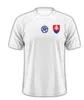 Słowakia Hancko piłka nożna koszulka 2024 2025 Słowacka drużyna narodowa KIT KIT SLOVENSKA HOME Away Lobotka Football Shirts Mężczyźni