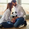 Party Favor Immortal Rose Bear Valentine Day Gift Creative Simulation Flower Panda Happy Decor Wedding