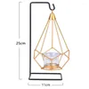 Bougeoirs Golden Metal Novelty Nordic Cougies pour chambre à coucher Restaurant le restaurant Decor Decor Air Plant Stand