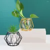 Vases Plant de plantes terrarium géométrique Hydroponic Fleur décoration intérieure moderne Vase métallière de fer nordique verre doré