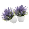 Fleurs décoratives 2 PCS PLANTES ARTIFICALES DÉCOR HOME DÉCORD LAVENDER INDOOR DÉCORATIONS POURCE ORNAGENTS BONSAI PLASTÉ PLAST