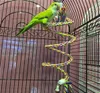 50 cm PARROT TOY ROPE TRAIDÉ PARROT PET PET CORDE CORDE BUDGIE PERCH BOIL