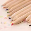 Lápis 12 Lápis de cor para crianças para crianças em lote de lotes de petróleo colorido Ferramenta de arte de lápis Kawaii Station Station D240510