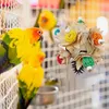 Other Bird Supplies Parrot Chewing Toy Anti Biting Cage Foraging Fun Decorative Birdcage Ornaments Pet Accessories