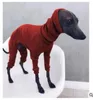 Vêtements pour chiens Automne et Vêtements pour animaux de compagnie en tricot à quatre points Pull à quatre pattes Écharpe longue à capuche à capuche proche