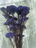 Fleurs décoratives 50g de millet naturel Fleur séchée Décoration de jardin artificiel Ornements de Noël en plein air à propos de PA