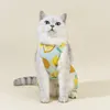 Vêtements pour chien animal kawaii vêtements de printemps d'été chiot de mode Jumps combinais