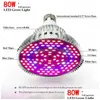 Grow Lights E27 LED-ljus 6W 10W 30W 50W 80W FL Spektrum LEDS 85-265V BBS för inomhus trädgårdsanläggningar blomma droppleveransbelysning DHEPI